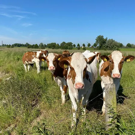 Bell Tent Aan De Haven *