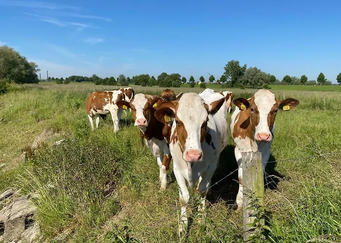 Bell Tent Aan De Haven *